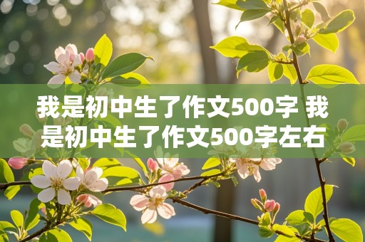 我是初中生了作文500字 我是初中生了作文500字左右