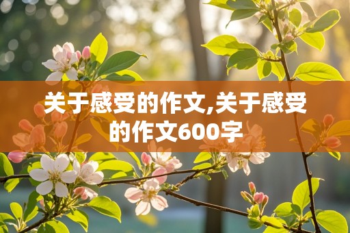 关于感受的作文,关于感受的作文600字