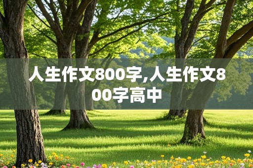 人生作文800字,人生作文800字高中