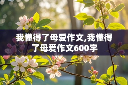 我懂得了母爱作文,我懂得了母爱作文600字