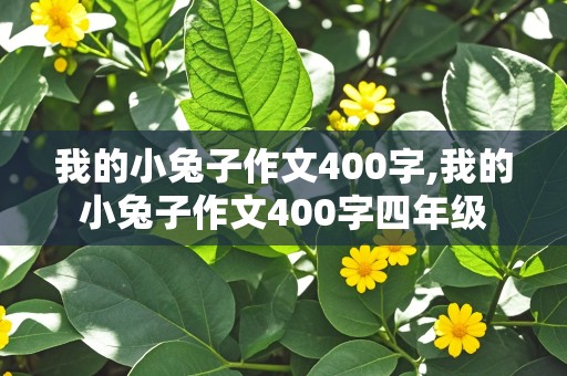 我的小兔子作文400字,我的小兔子作文400字四年级