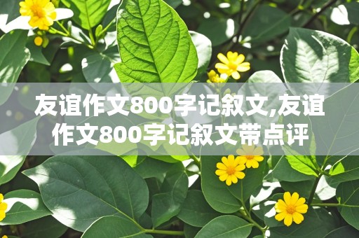 友谊作文800字记叙文,友谊作文800字记叙文带点评