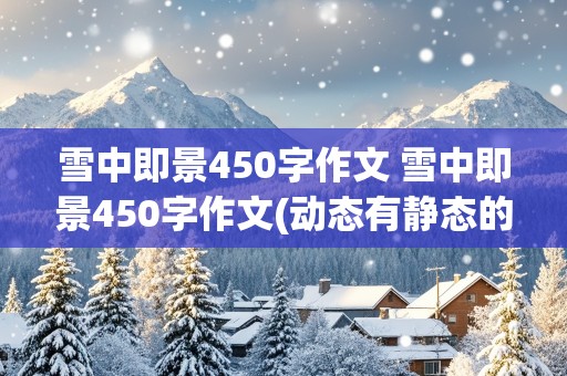 雪中即景450字作文 雪中即景450字作文(动态有静态的)