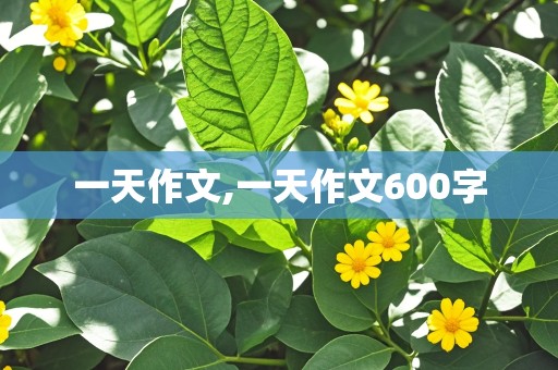 一天作文,一天作文600字