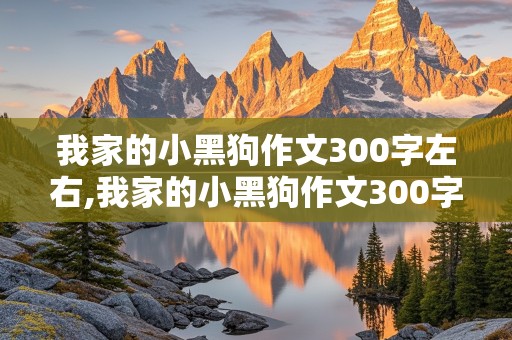 我家的小黑狗作文300字左右,我家的小黑狗作文300字左右狗丢了