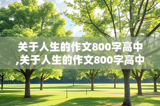 关于人生的作文800字高中,关于人生的作文800字高中议论文