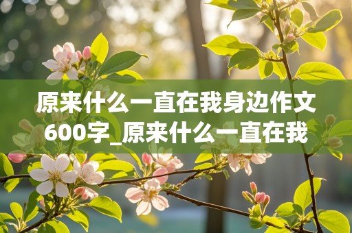 原来什么一直在我身边作文600字_原来什么一直在我身边作文600字记叙文