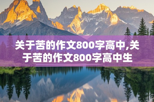 关于苦的作文800字高中,关于苦的作文800字高中生