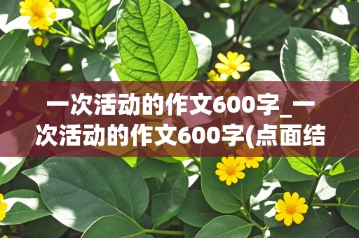 一次活动的作文600字_一次活动的作文600字(点面结合)