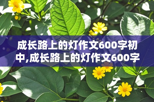 成长路上的灯作文600字初中,成长路上的灯作文600字初中免费