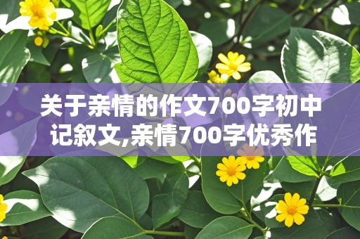 关于亲情的作文700字初中 记叙文,亲情700字优秀作文