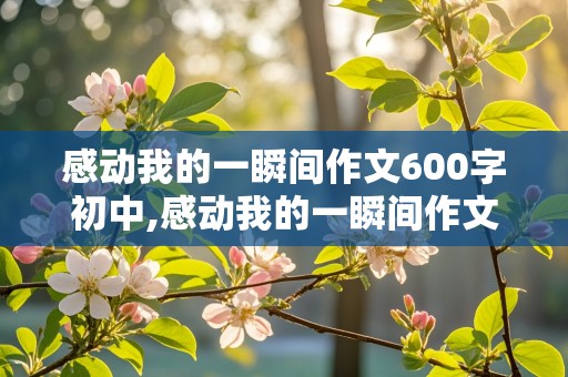 感动我的一瞬间作文600字初中,感动我的一瞬间作文600字初中母亲