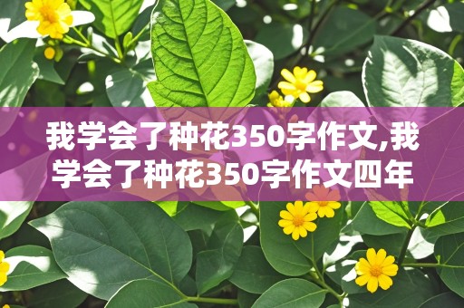 我学会了种花350字作文,我学会了种花350字作文四年级下册