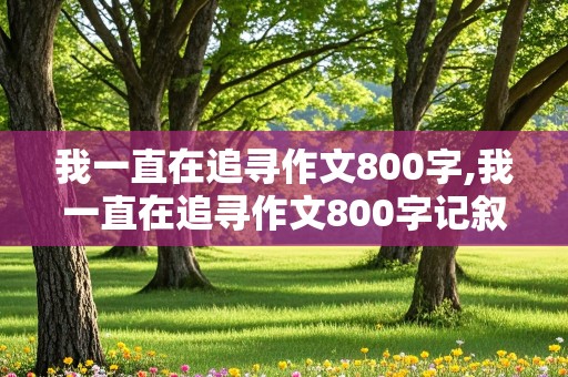 我一直在追寻作文800字,我一直在追寻作文800字记叙文