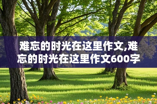 难忘的时光在这里作文,难忘的时光在这里作文600字