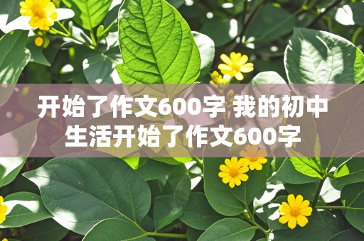 开始了作文600字 我的初中生活开始了作文600字