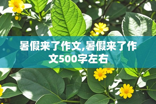 暑假来了作文,暑假来了作文500字左右