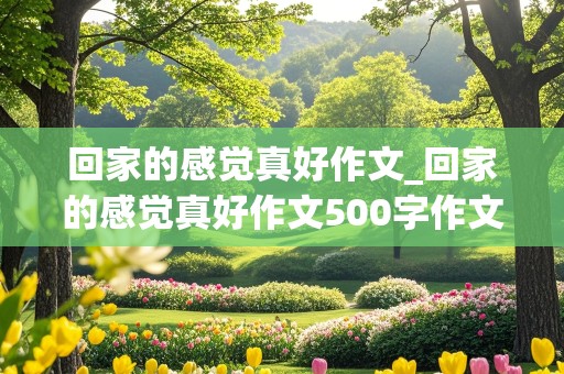 回家的感觉真好作文_回家的感觉真好作文500字作文