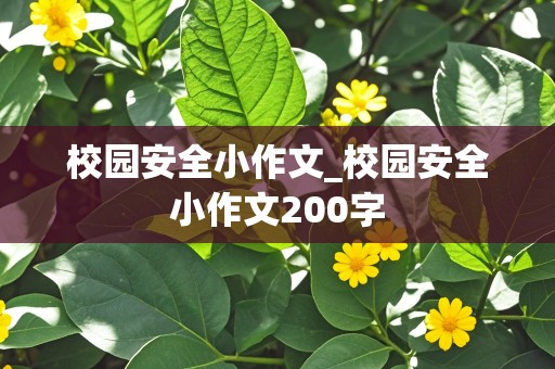 校园安全小作文_校园安全小作文200字