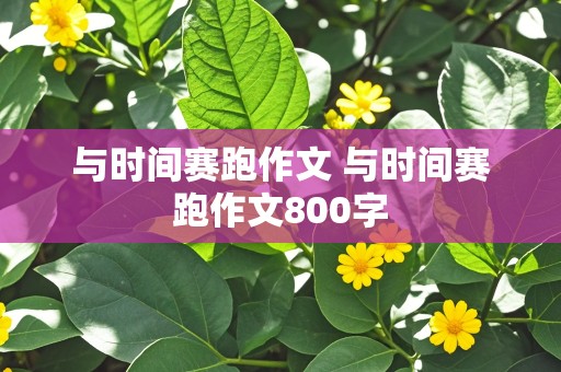 与时间赛跑作文 与时间赛跑作文800字