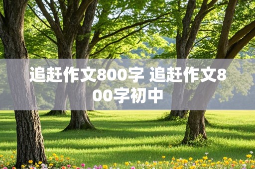 追赶作文800字 追赶作文800字初中