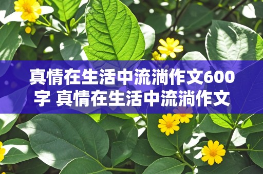 真情在生活中流淌作文600字 真情在生活中流淌作文600字初三