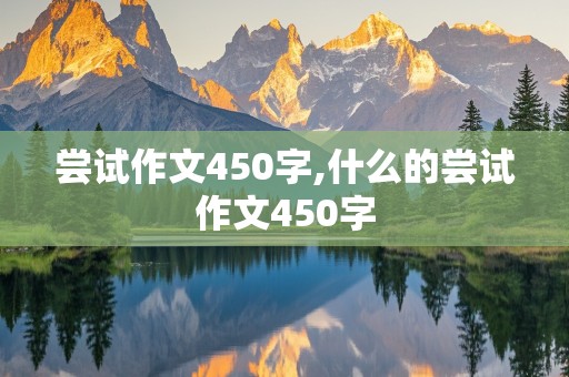 尝试作文450字,什么的尝试作文450字