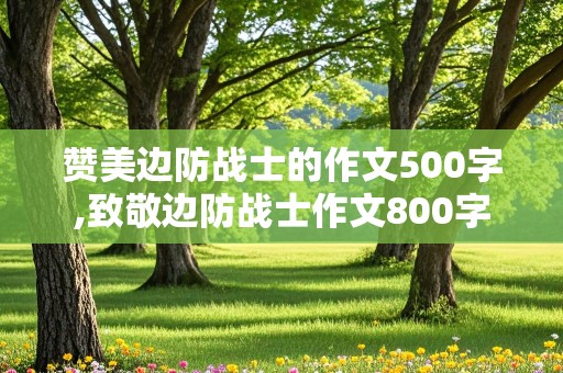 赞美边防战士的作文500字,致敬边防战士作文800字