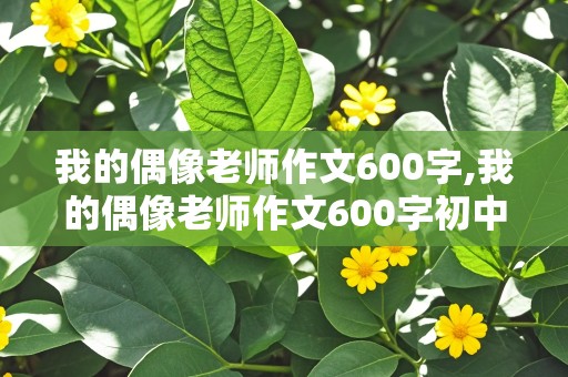 我的偶像老师作文600字,我的偶像老师作文600字初中