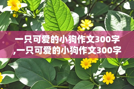 一只可爱的小狗作文300字,一只可爱的小狗作文300字三年级