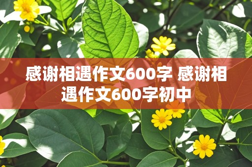 感谢相遇作文600字 感谢相遇作文600字初中