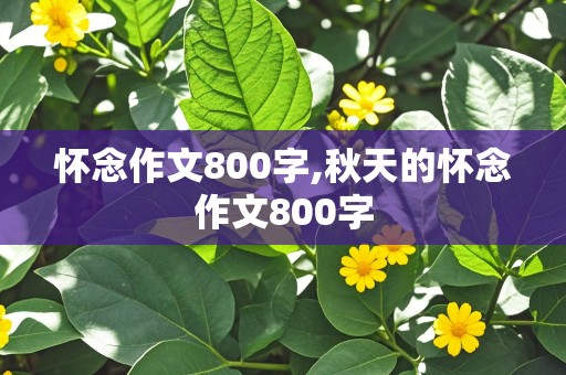 怀念作文800字,秋天的怀念作文800字