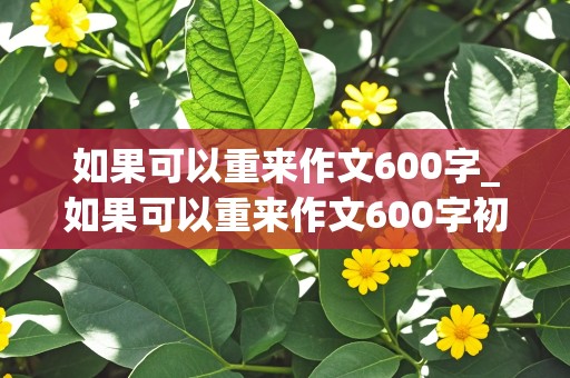 如果可以重来作文600字_如果可以重来作文600字初中