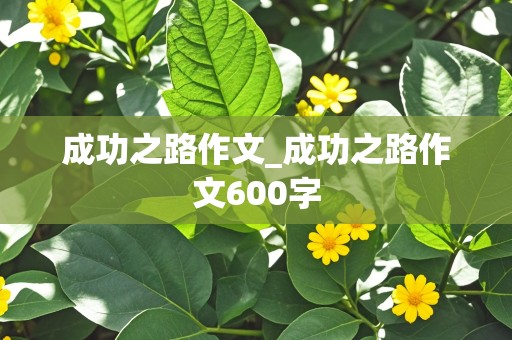 成功之路作文_成功之路作文600字