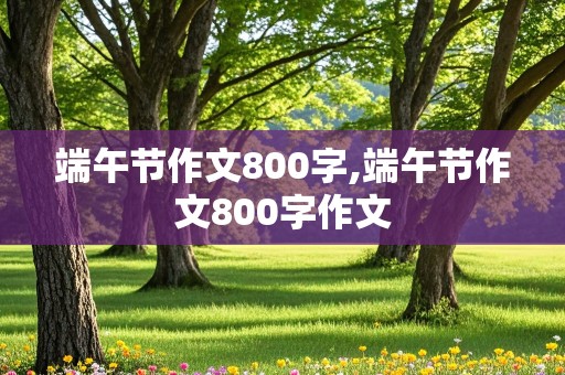 端午节作文800字,端午节作文800字作文