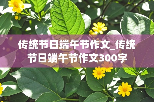 传统节日端午节作文_传统节日端午节作文300字