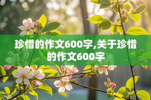 珍惜的作文600字,关于珍惜的作文600字