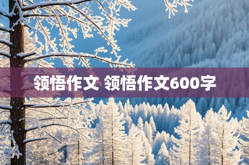 领悟作文 领悟作文600字