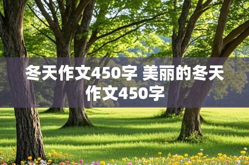 冬天作文450字 美丽的冬天作文450字