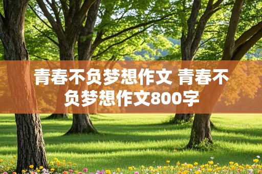 青春不负梦想作文 青春不负梦想作文800字