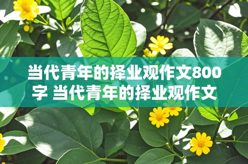 当代青年的择业观作文800字 当代青年的择业观作文800字怎么写