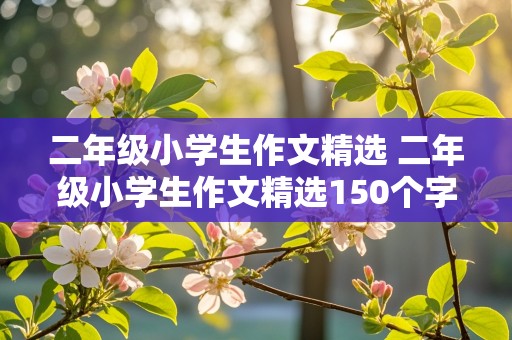 二年级小学生作文精选 二年级小学生作文精选150个字