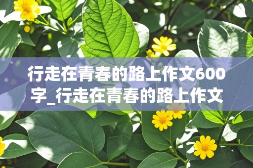 行走在青春的路上作文600字_行走在青春的路上作文600字记叙文