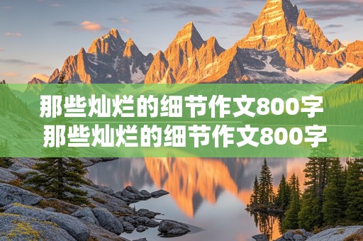 那些灿烂的细节作文800字 那些灿烂的细节作文800字中考作文