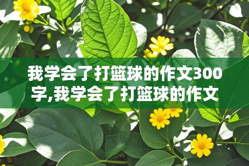 我学会了打篮球的作文300字,我学会了打篮球的作文300字左右