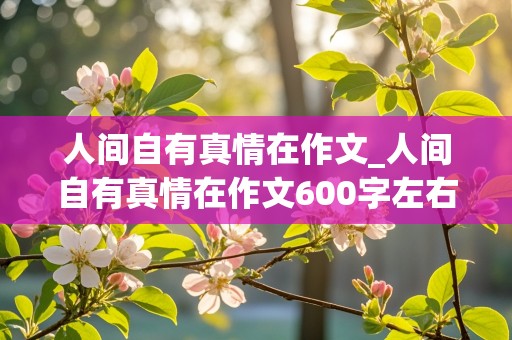 人间自有真情在作文_人间自有真情在作文600字左右