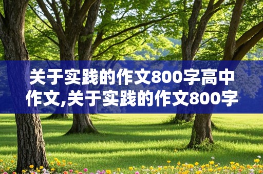 关于实践的作文800字高中作文,关于实践的作文800字高中作文议论文