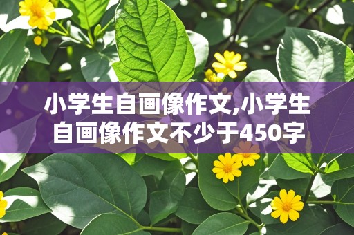 小学生自画像作文,小学生自画像作文不少于450字