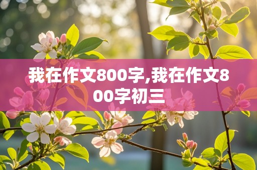 我在作文800字,我在作文800字初三