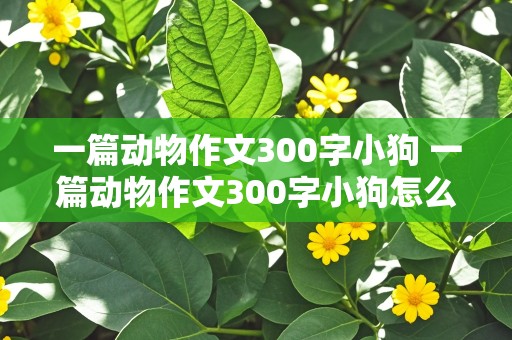 一篇动物作文300字小狗 一篇动物作文300字小狗怎么写